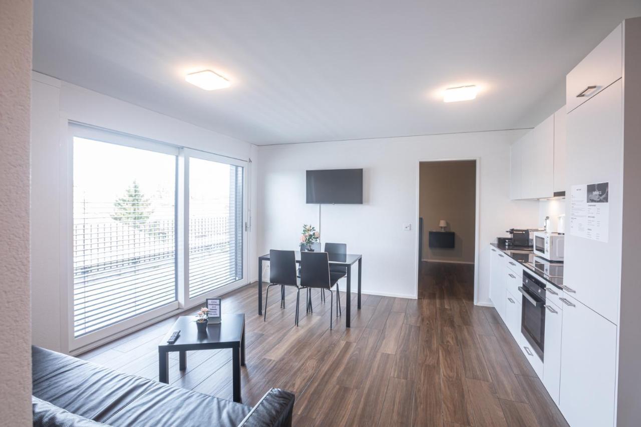 Skyline Exclusive Penthouse Appartamento Basilea